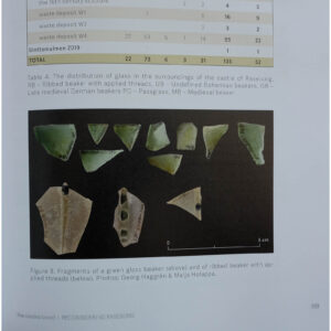 Reconsidering Raseborg. New approaches to a medieval castle in Finland